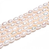 Natural Cultured Freshwater Pearl Beads Strands PEAR-N012-03Q-5