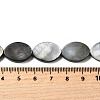 Natural Black Lip Shell Beads Strands BSHE-D300-02-13x18mm-4