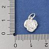 S925 Sterling Silver Pendant STER-H115-08C-S-3