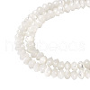 1 Strand Natural Trochus Shell Rondelle Beads Strands SSHEL-TA0001-16A-2