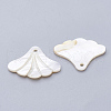 Freshwater Shell Pendants X-SHEL-S269-64-2