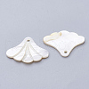 Freshwater Shell Pendants X-SHEL-S269-64-2