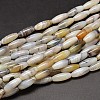 Rice Natural Dendritic Agate Bead Strands G-M257-20x8mm-18-1