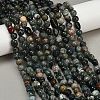 Natural Moss Agate Beads Strands G-Q060-E10-1