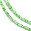 Natural Freshwater Shell Beads Strands SHEL-G013-02E-3