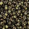 Glass Seed Beads SEED-A032-06I-3