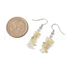 Natural Mixed Stone Dangle Earrings EJEW-JE06154-01-3
