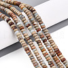 Natural Aqua Terra Jasper Beads Strands G-T140-71B-1