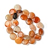 Flat Round Gemstone Natural Red Agate Stone Beads Strands X-G-S110-03-4