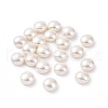 Shell Pearl Half Drilled Beads BSHE-G011-01-10mm-1