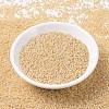 MIYUKI Round Rocailles Beads SEED-X0054-RR0529-1