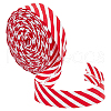 Polyester Twill Striped Piping Ribbon FIND-WH0424-03B-1