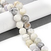 Natural White African Opal Beads Strands G-NH0021-A26-02-2