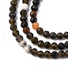 Natural Silver Sheen Obsidian Beads Strands G-RM2025-A03-3mm-4