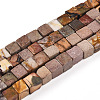 Natural Polychrome Jasper/Picasso Stone/Picasso Jasper Beads Strands G-T140-45B-4