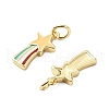Brass Enamel Charms KK-L237-028G-05-2