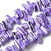 Dyed Natural Trochus Shell Beads Strands SSHEL-C013-09N-1