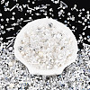 Glass Seed Beads SEED-N007-13A-2