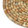 Natural Picture Jasper Beads Strands G-P575-A54-4x2mm-3