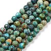 Natural HuBei Turquoise Beads Strands G-C009-A16-1