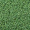 TOHO Round Seed Beads SEED-XTR08-0407F-2