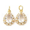 Brass Cubic Zirconia Charms ZIRC-C022-10G-1