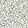 Glass Seed Beads SEED-S060-A-F207-3