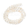 Transparent Glass Beads Strand X1-GLAA-F112-04K-3