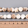Natural Freshwater Shell Beads Strands SSHEL-N040-15-4