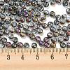 Iris Glass Seed Beads SEED-Z001-C-D04-4