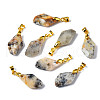 Natural Agate Pendants G-Q998-008E-1