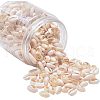 Mixed Cowrie Shell Beads BSHE-NB0001-08-1