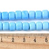 Handmade Lampwork Beads Strands LAMP-I030-02C-4