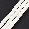 Natural Trochid Shell/Trochus Shell Beads Strands X-SSHEL-L016-13E-2