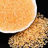 6/0 Inside Colours Transparent Glass Seed Beads SEED-T007-07F-3