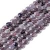 Natural Lepidolite/Purple Mica Stone Beads Strands G-D0003-A87-1