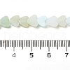 Handmade Lampwork Beads Strands LAMP-Q035-01D-4