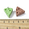 16Pcs 16 Styles Resin Pendants RESI-V001-07-3