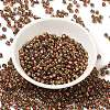Glass Seed Beads X1-SEED-H002-B-D204-2