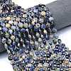 Natural Sodalite Beads Strands G-C116-A80-02-1
