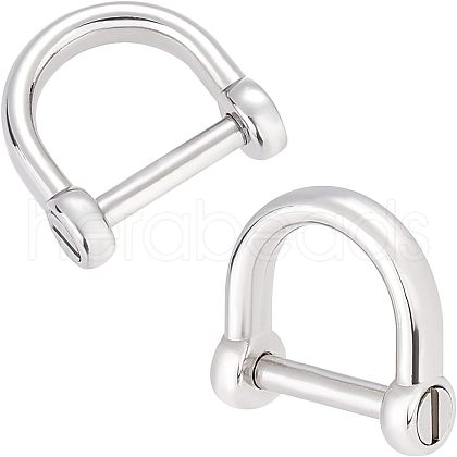 CHGCRAFT 2Pcs 304 Stainless Steel D-Ring Anchor Shackle Clasps STAS-CA0001-56A-1