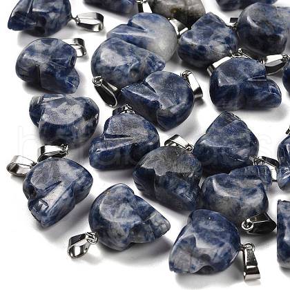 Natural Sodalite Pendants G-Z067-02P-03-1