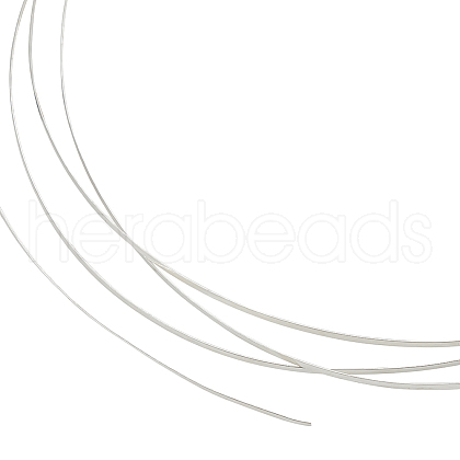 BENECREAT 1Pc Flat 999 Fine Silver Wires STER-BC0002-26-1