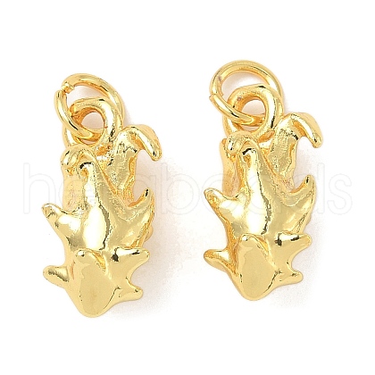 Brass Pendants KK-I355-03G-02-1