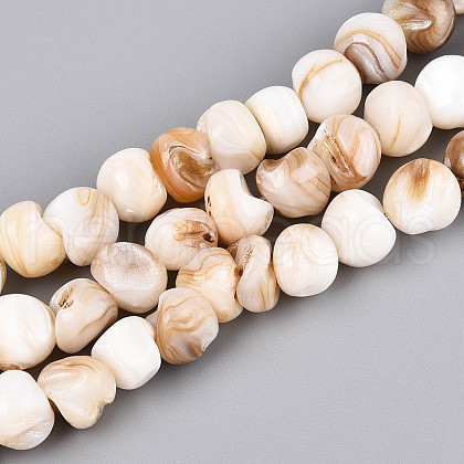 Natural Freshwater Shell Beads Strands SHEL-T020-17-1