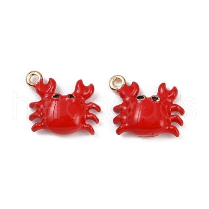Brass Alloy Charms KK-R226-15G-02-1