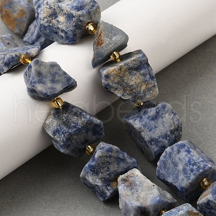 Raw Rough Natural Blue Spot Jasper Beads Strands G-Z087-B01-1