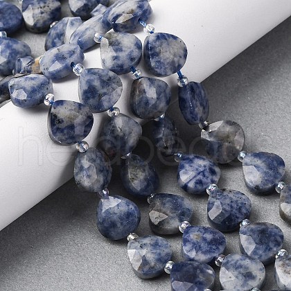 Natural Blue Spot Jasper Beads Strands G-P570-E19-02-1