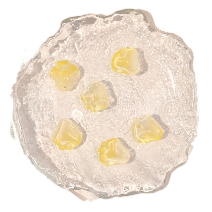 Transparent Handmade Lampwork Charms PW-WG3FA00-02-1