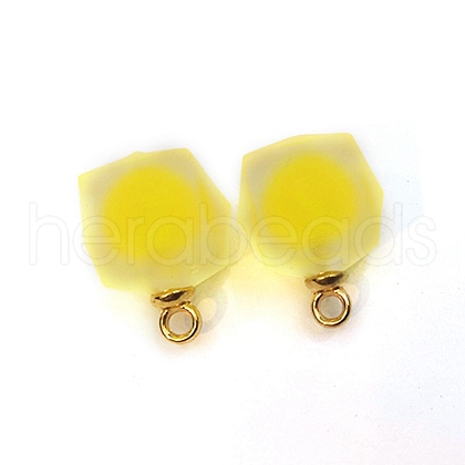 Resin Frosted Pendants MP-TAC0009-02D-1